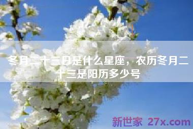 冬月二十三日是什么星座，农历冬月二十三是阳历多少号