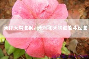 天秤天蝎谁狠，天秤和天蝎谁能斗过谁