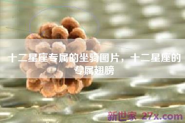 十二星座专属的坐骑图片，十二星座的专属翅膀