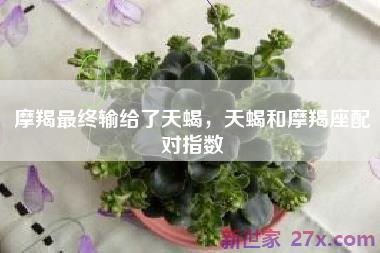 摩羯最终输给了天蝎，天蝎和摩羯座配对指数