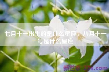 七月十一出生的是什么星座，八月十一号是什么星座