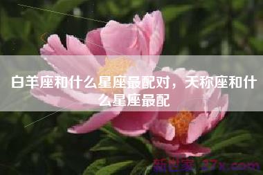 白羊座和什么星座最配对，天称座和什么星座最配
