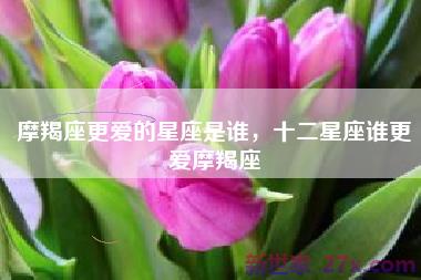摩羯座更爱的星座是谁，十二星座谁更爱摩羯座