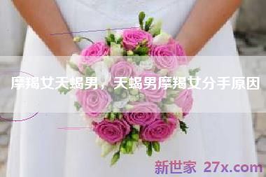 摩羯女天蝎男，天蝎男摩羯女分手原因
