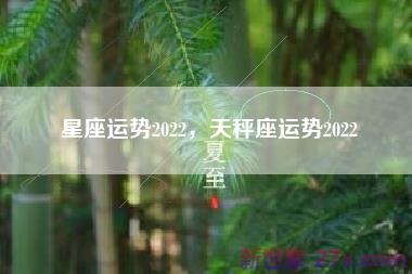 星座运势2022，天秤座运势2022