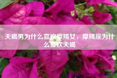 天蝎男为什么喜欢摩羯女，摩羯座为什么喜欢天蝎