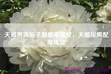 天蝎男满脑子都是摩羯女，天蝎座男配摩羯女