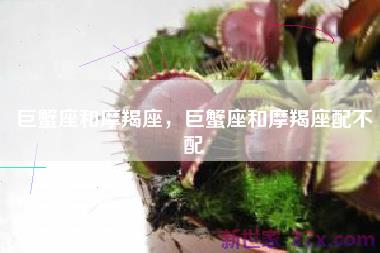 巨蟹座和摩羯座，巨蟹座和摩羯座配不配