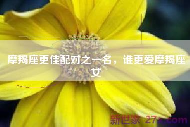摩羯座更佳配对之一名，谁更爱摩羯座女