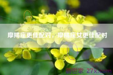摩羯座更佳配对，摩羯座女更佳配对