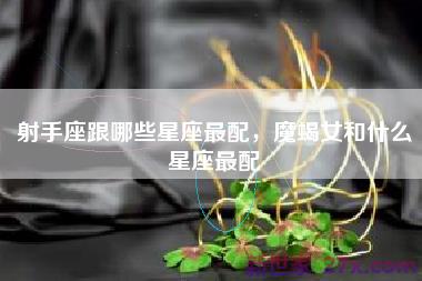 射手座跟哪些星座最配，魔蝎女和什么星座最配