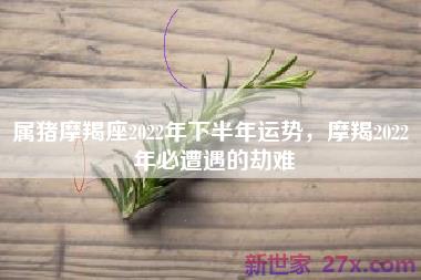 属猪摩羯座2022年下半年运势，摩羯2022 年必遭遇的劫难