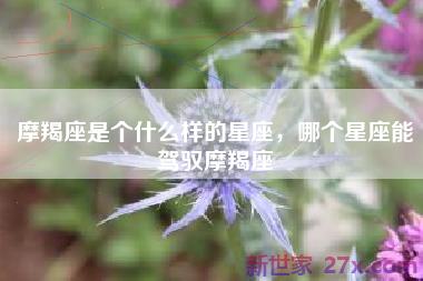摩羯座是个什么样的星座，哪个星座能驾驭摩羯座