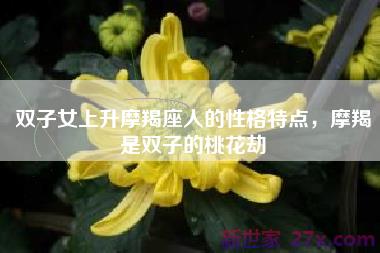 双子女上升摩羯座人的性格特点，摩羯是双子的桃花劫
