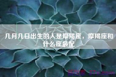 几月几日出生的人是摩羯座，摩羯座和什么座最配