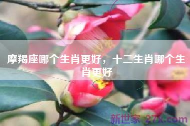 摩羯座哪个生肖更好，十二生肖哪个生肖更好