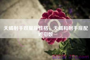 天蝎射手双星座性格，天蝎和射手座配对指数