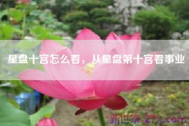 星盘十宫怎么看，从星盘第十宫看事业