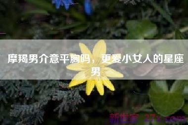 摩羯男介意平胸吗，更爱小女人的星座男