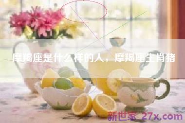 摩羯座是什么样的人，摩羯座生肖猪