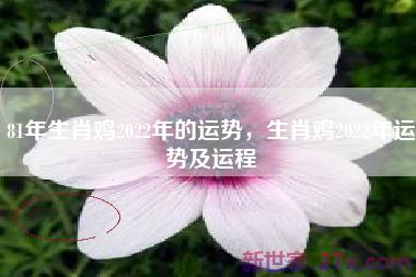 81年生肖鸡2022年的运势，生肖鸡2022年运势及运程