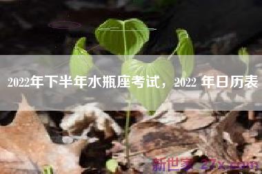 2022年下半年水瓶座考试，2022 年日历表