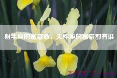 射手座的富豪命，天秤座的富豪都有谁