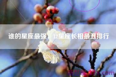 谁的星座最强，12星座长相最丑排行