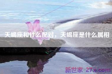 天蝎座和什么配对，天蝎座是什么属相