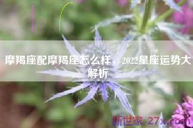 摩羯座配摩羯座怎么样，2022星座运势大解析