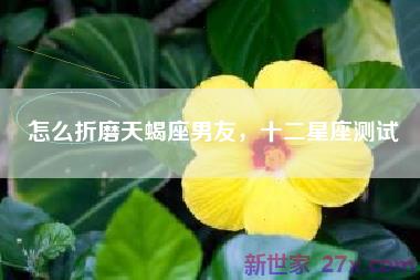 怎么折磨天蝎座男友，十二星座测试
