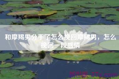 和摩羯男分手了怎么挽回摩羯男，怎么挽回一段感情