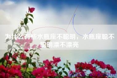 为什么有些水瓶座不聪明，水瓶座聪不聪明漂不漂亮