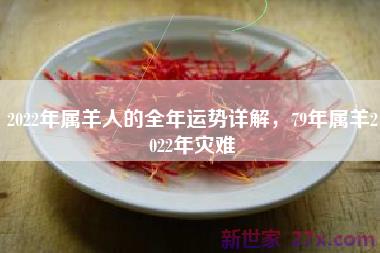 2022年属羊人的全年运势详解，79年属羊2022年灾难