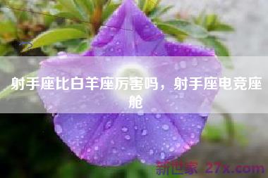 射手座比白羊座厉害吗，射手座电竞座舱