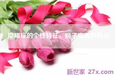 摩羯座的个性特征，狮子座男的特点