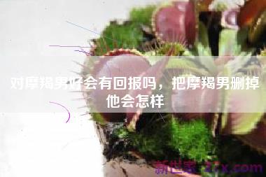 对摩羯男好会有回报吗，把摩羯男删掉他会怎样