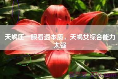 天蝎座一眼看透本质，天蝎女综合能力太强