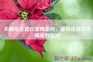 天蝎座会喜欢摩羯座吗，摩羯座喜欢天蝎座吵架吗