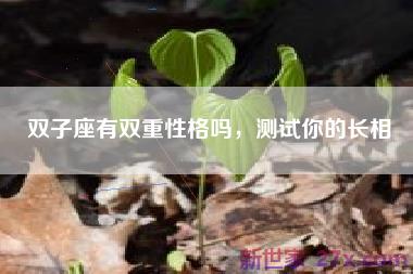 双子座有双重性格吗，测试你的长相