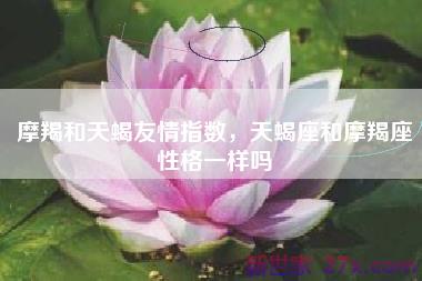 摩羯和天蝎友情指数，天蝎座和摩羯座性格一样吗
