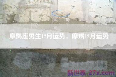摩羯座男生12月运势，摩羯12月运势