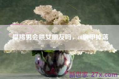 摩羯男会哄女朋友吗，t6胸甲掉落
