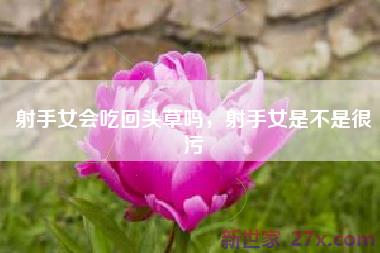 射手女会吃回头草吗，射手女是不是很污