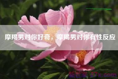 摩羯男对你好奇，摩羯男对你有性反应