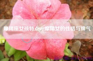 摩羯座女孩特点，摩羯女的性格与脾气