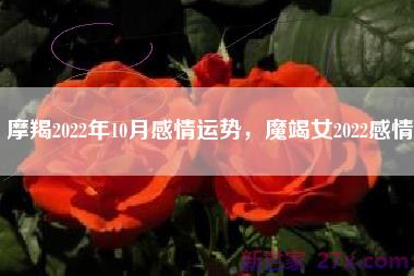 摩羯2022年10月感情运势，魔竭女2022感情