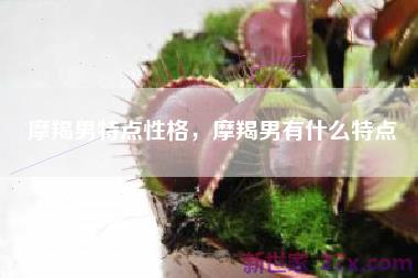 摩羯男特点性格，摩羯男有什么特点