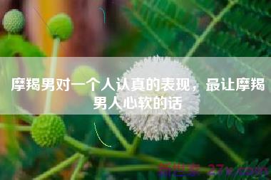 摩羯男对一个人认真的表现，最让摩羯男人心软的话