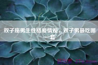 双子座男生性格爱情观，双子男最吃哪一套